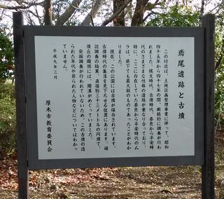 公園の桜0410-6.jpg